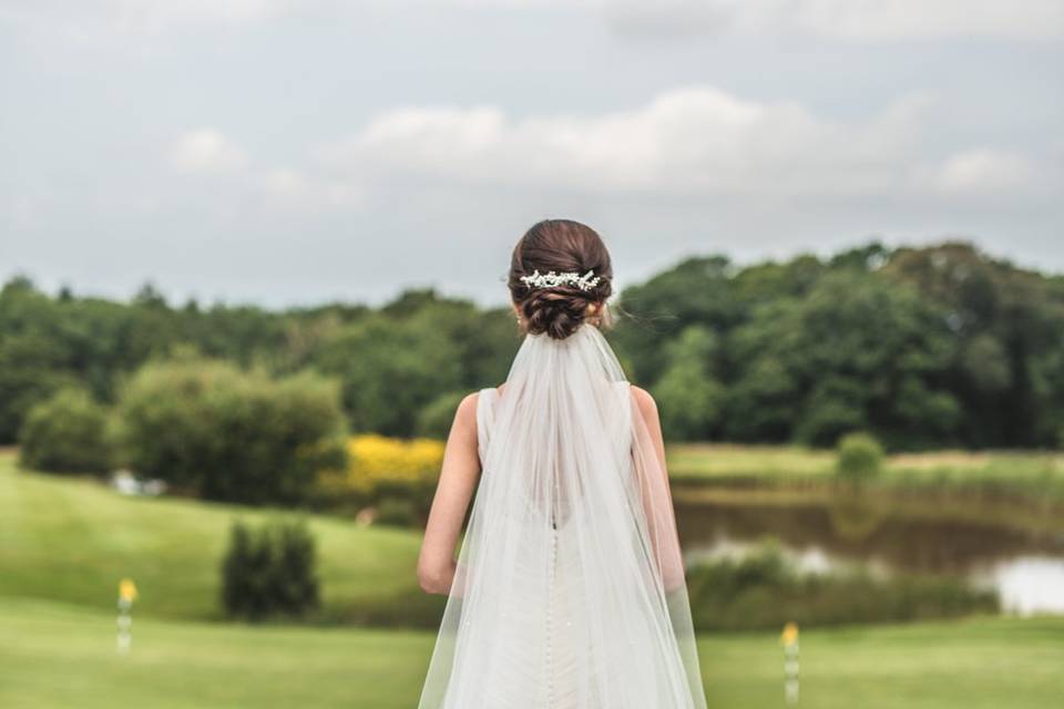 Woodbury Park Wedding Buggy