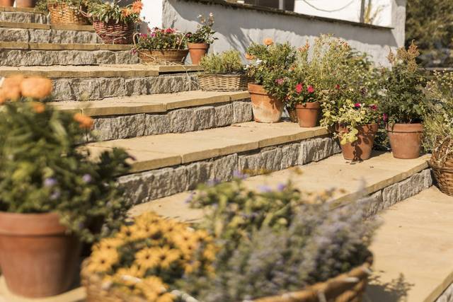 Steps down from back doors