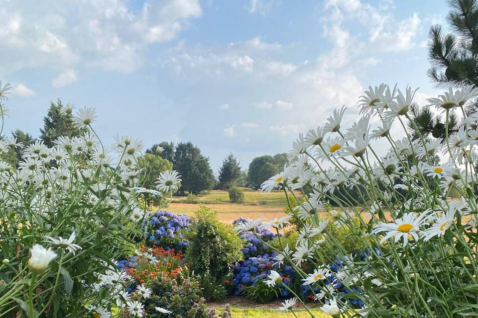 Steps to lower garden