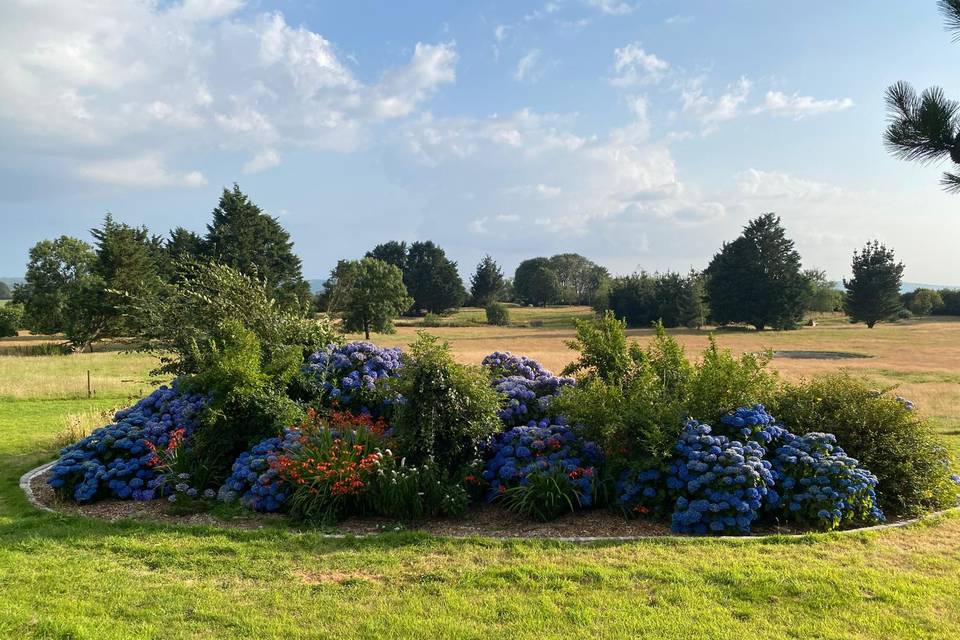 Lower garden flowers