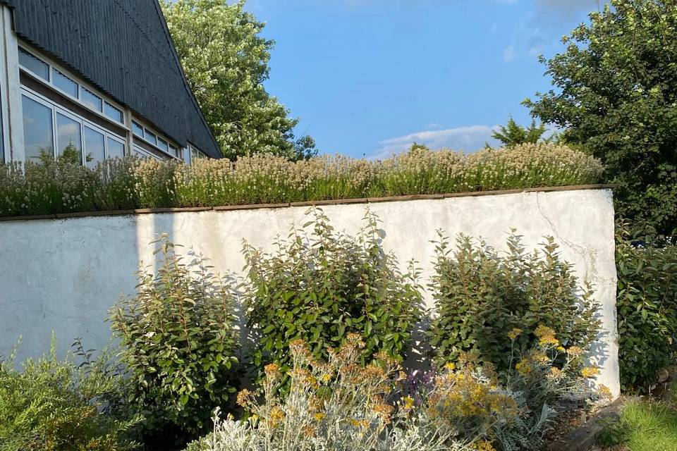 Upper garden flower wall