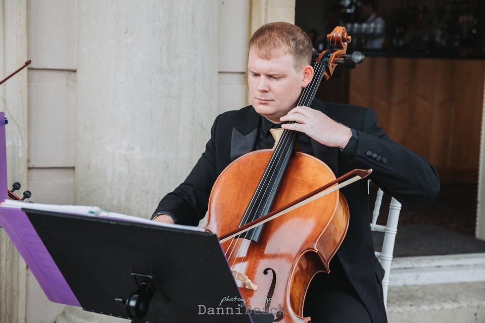 Quartet - Cellist