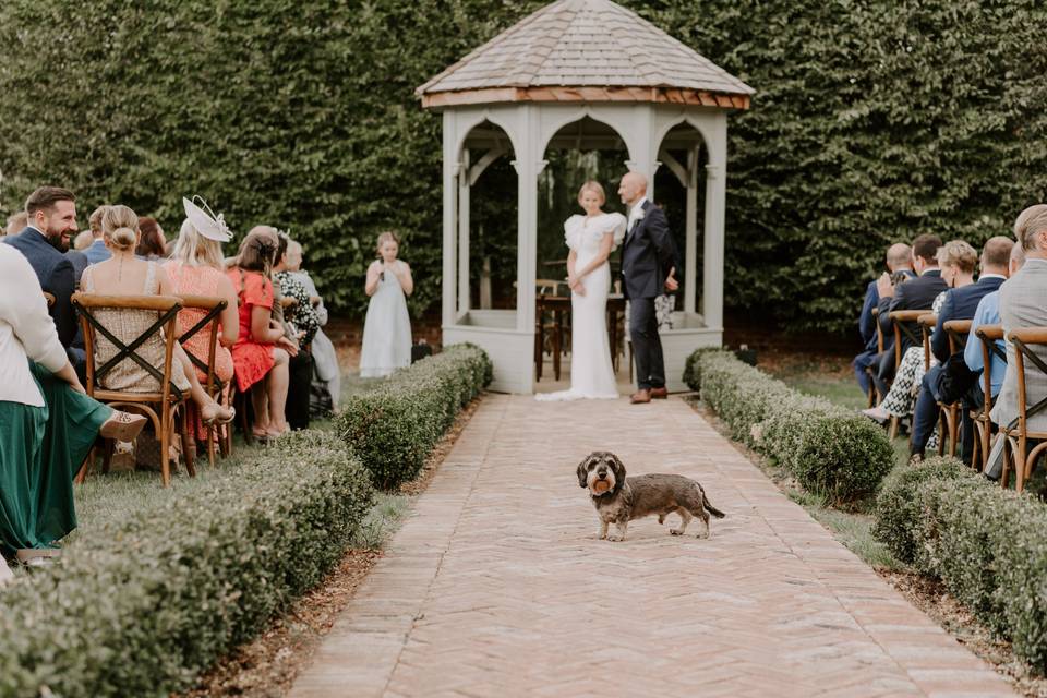 Dog Friendly Ceremony