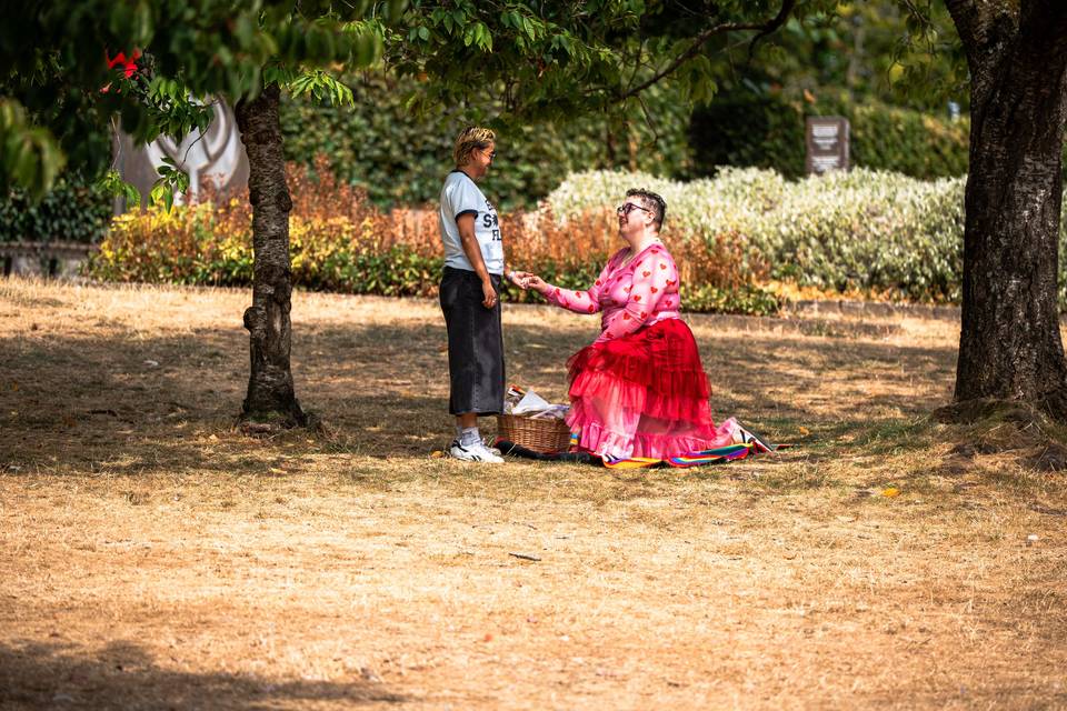 Surprise Proposal