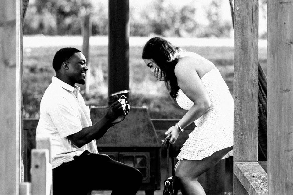 Unexpected Proposal