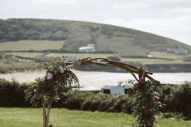Driftwood Arch