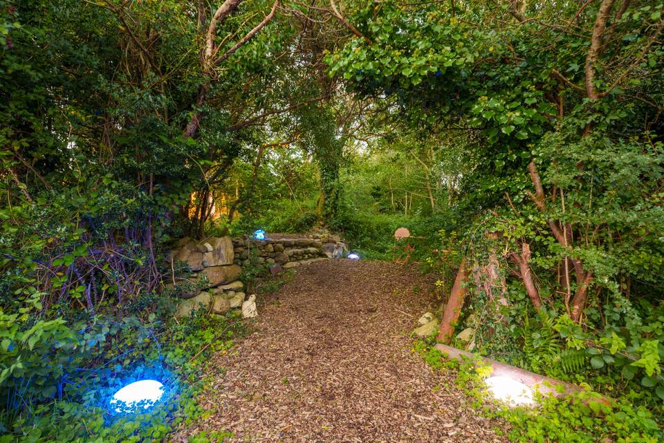 Solar lit woodland path