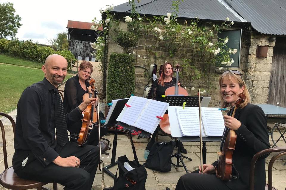 Playing at an alfresco reception