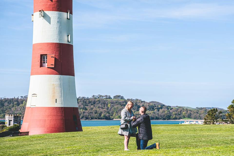 Proposal in Devon