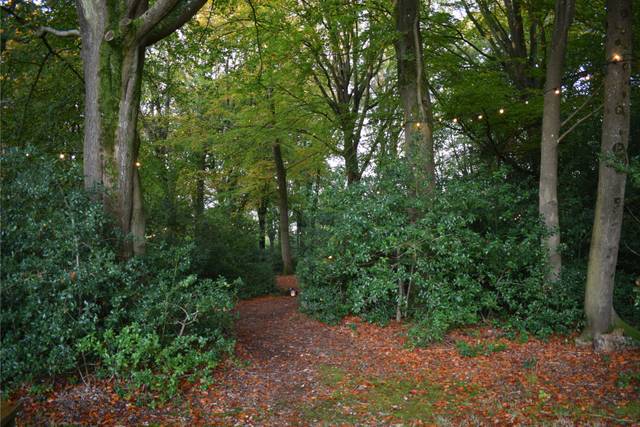 Boathouse Copse (Woodlands)