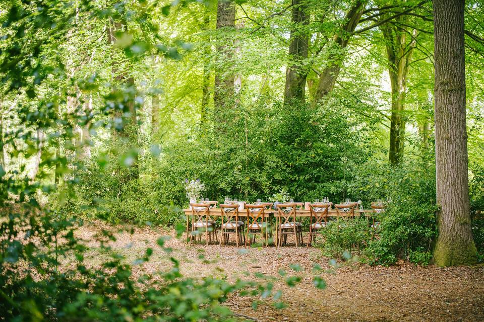 Outdoor Dining Setup