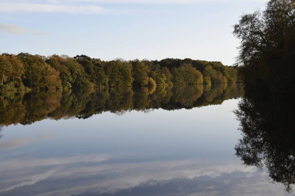 Ewhurst Pond