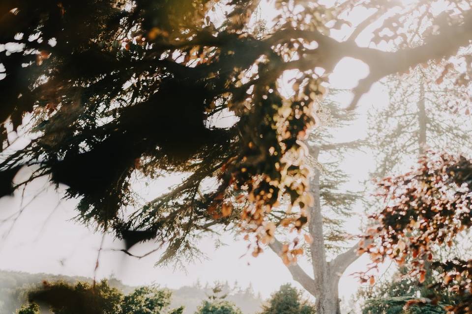 Couple at golden hour