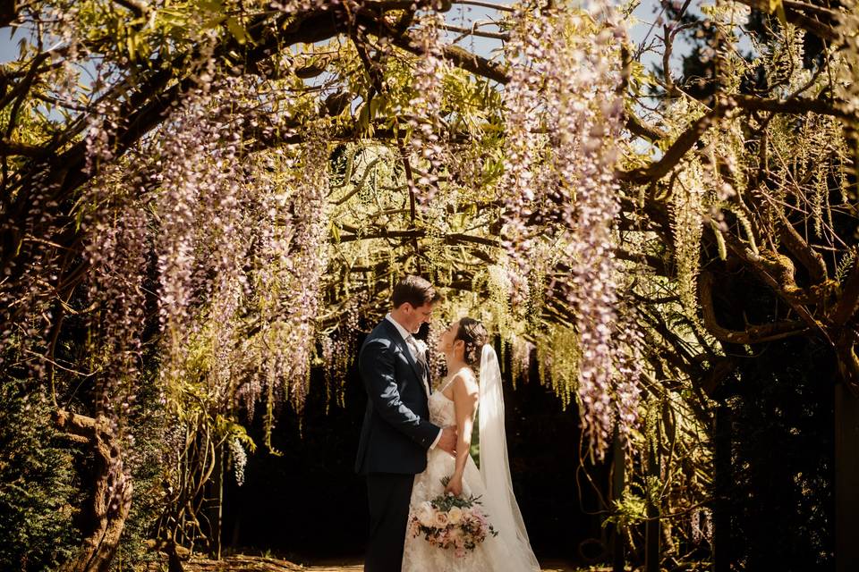 Couple under Wisteria arch