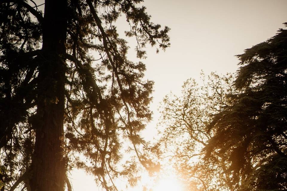 Couple at golden hour