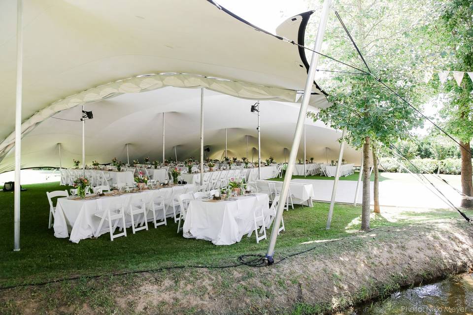 Kiwi Stretch Tents