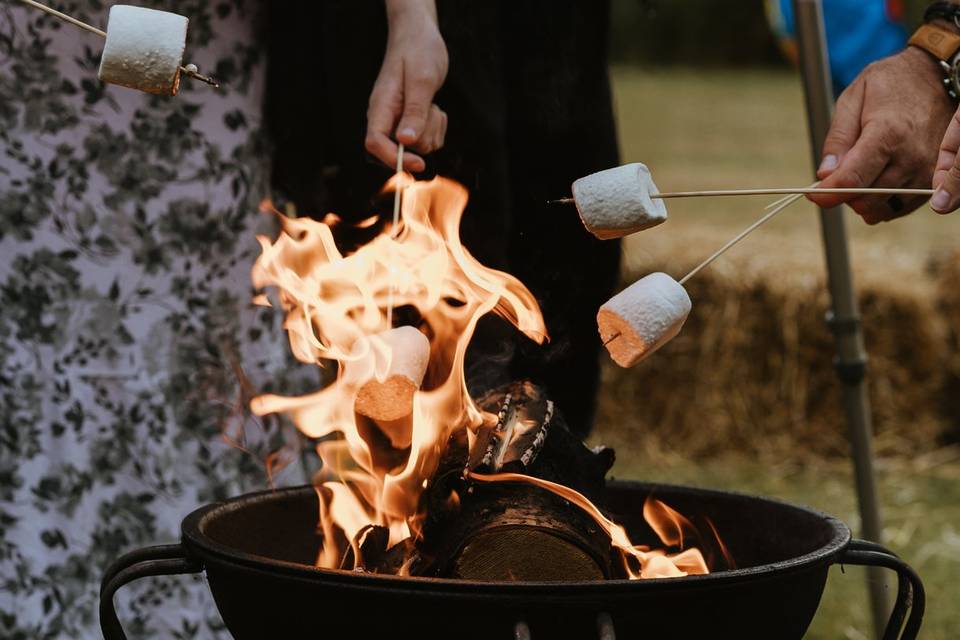 Marshmallows by the fire