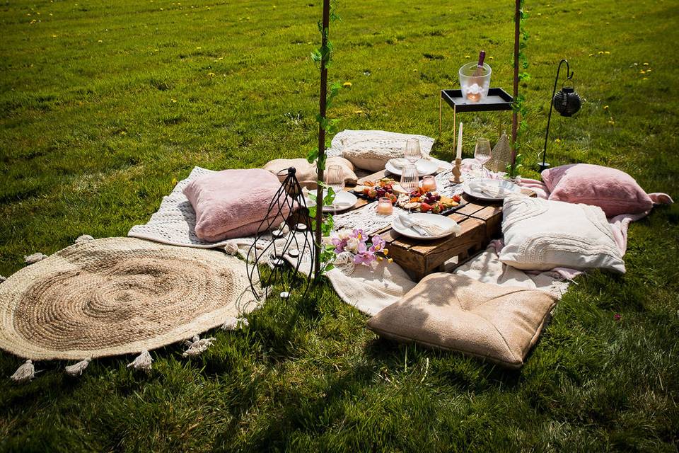 Elopement picnic package