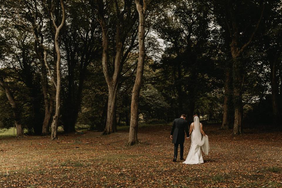 Forest walk by lake