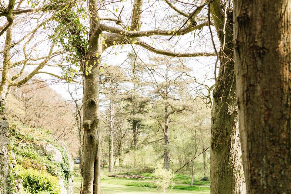 Path to boathouse