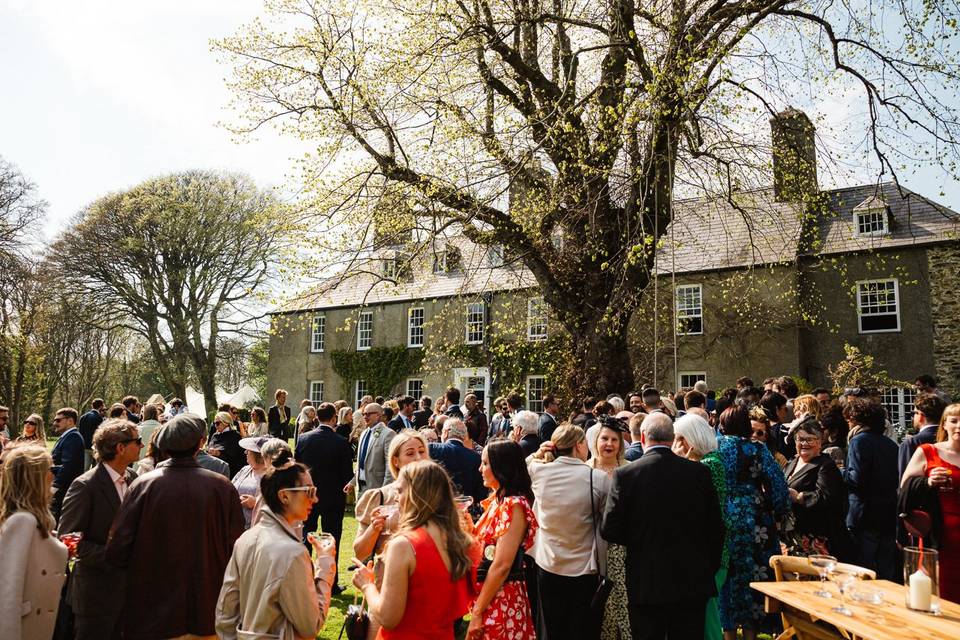 Guests on front lawn