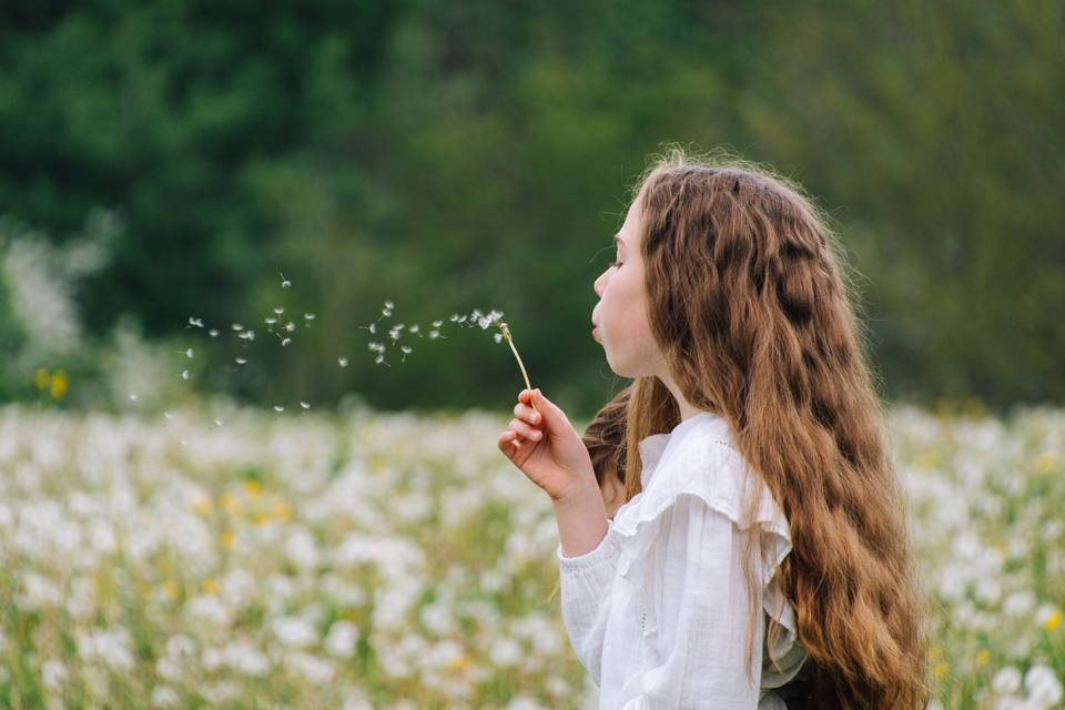 Dandelion