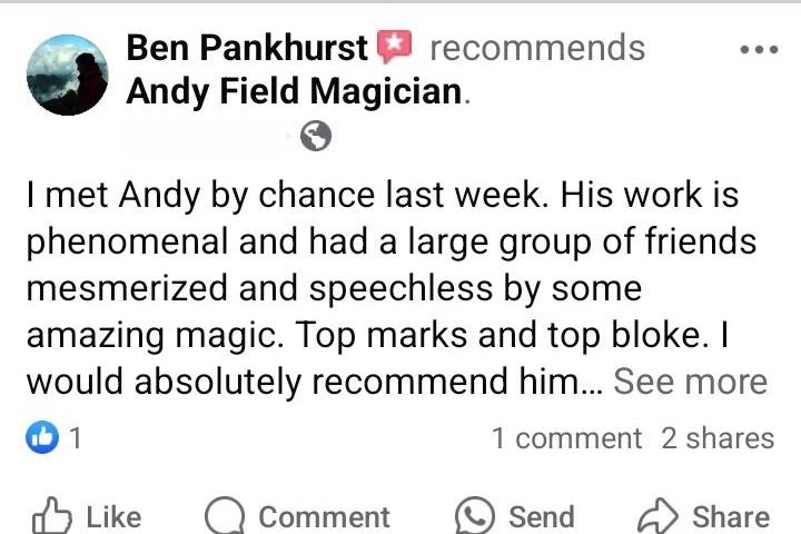 Magician for weddings in Chelt