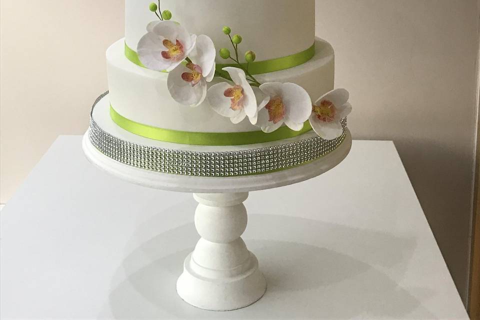 Cake Innovations