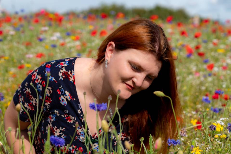 Lavender fields