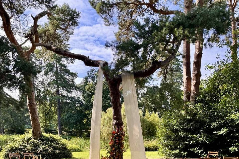 Ceremony tree set up