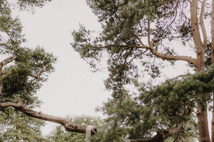 Tree climbing installation