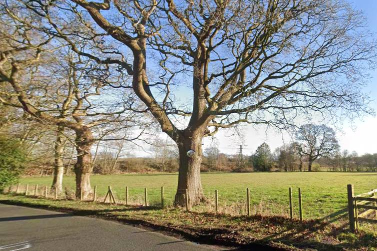 Field (Left Hand side)