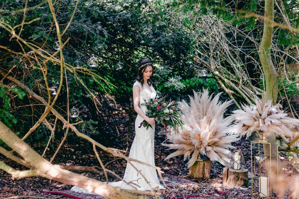 Pampas Grass Display