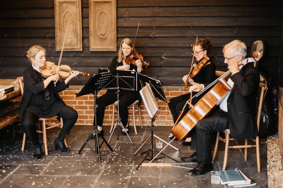Aluna String Quartet