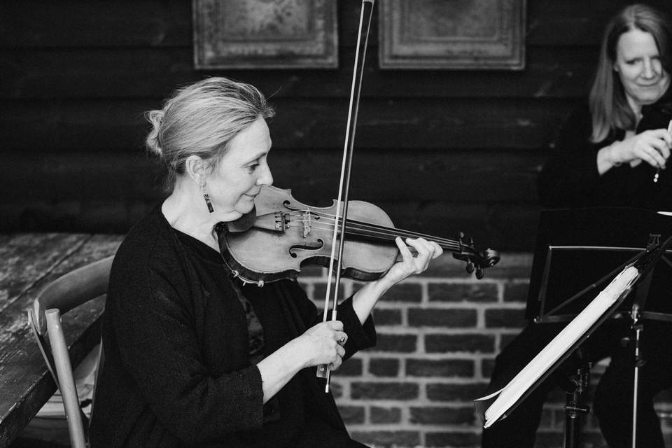 Aluna String Quartet