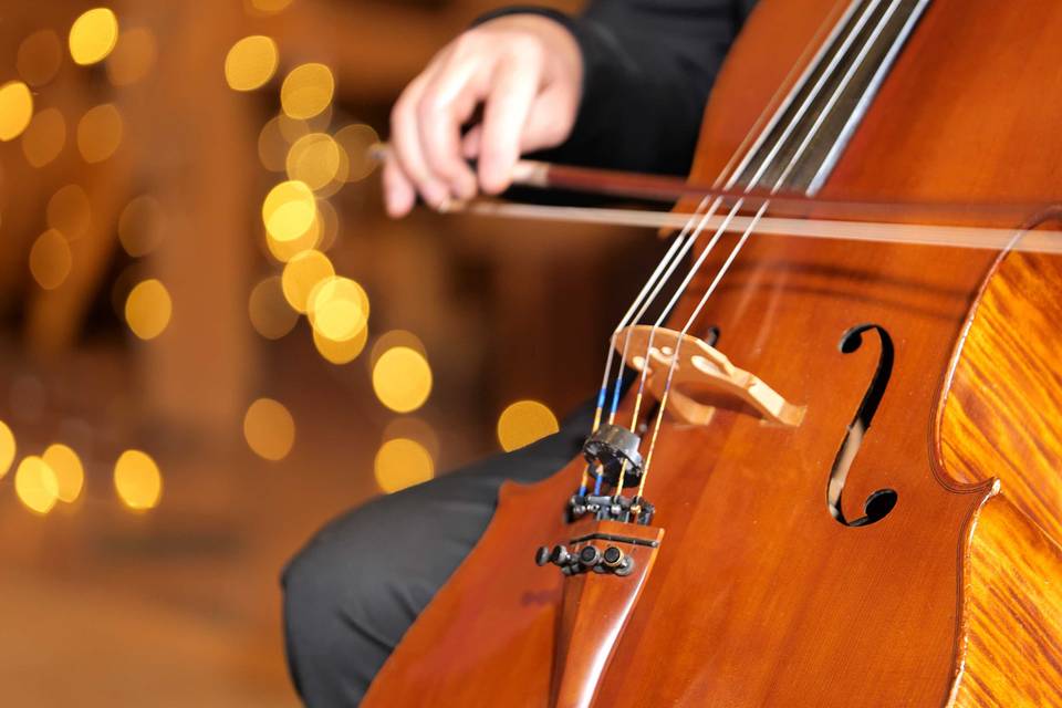 Aluna String Quartet