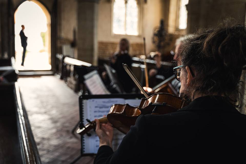 Aluna String Quartet