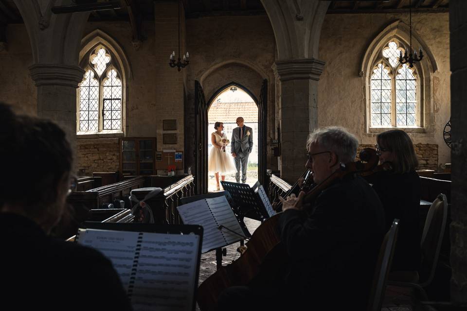 Aluna String Quartet