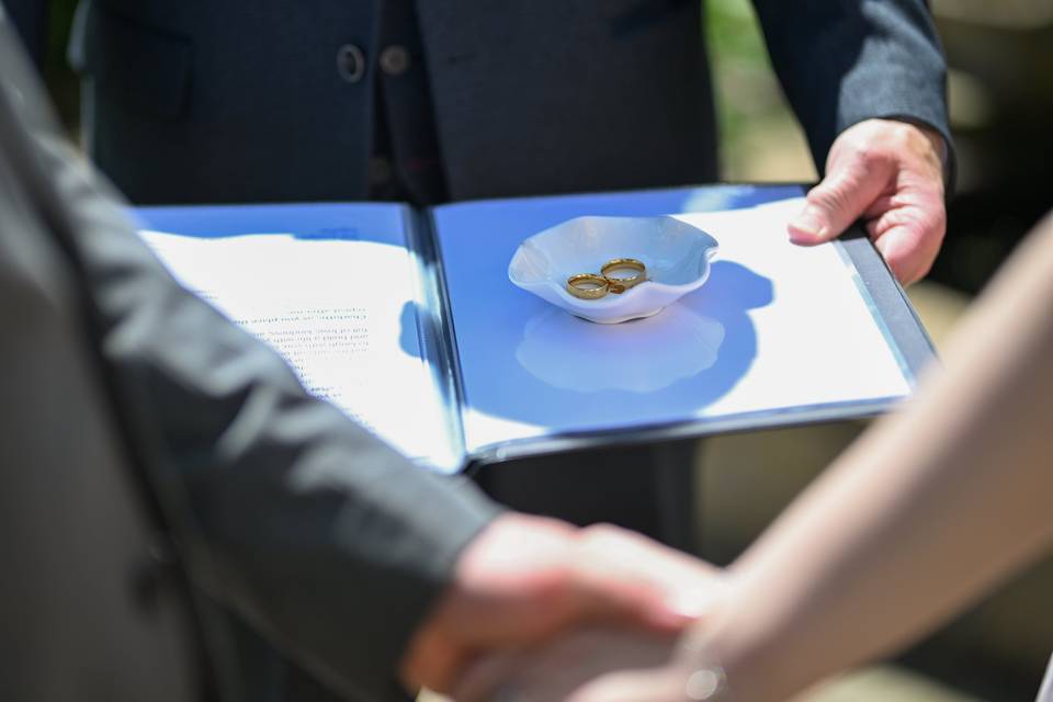 Rings in book