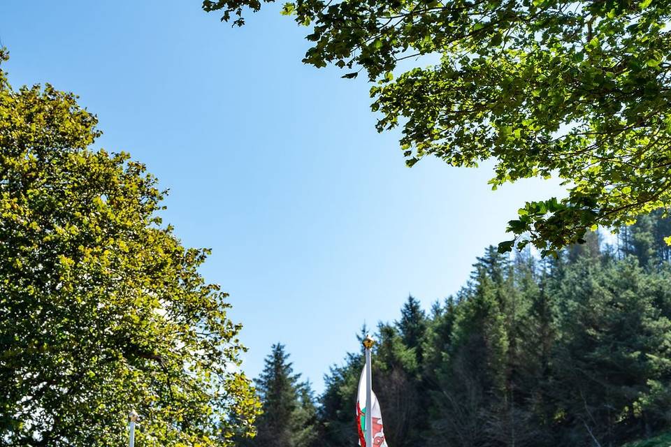 Sophiewynnephotography.com