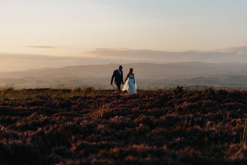 Golden hour up Elslack Moor