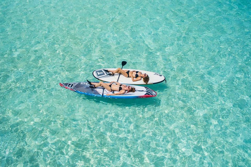 Paddle Board