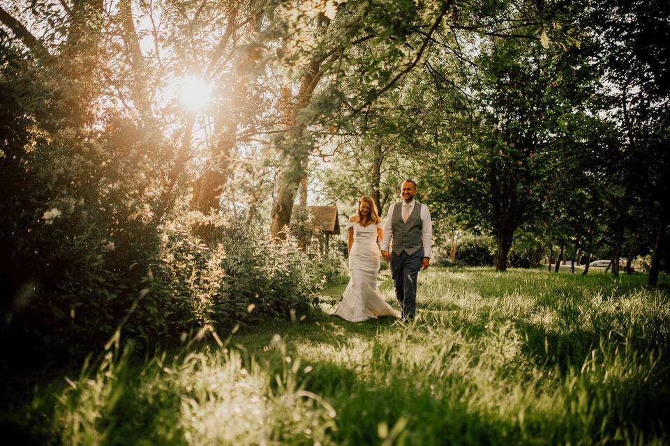 Golden Hour in The Orchard