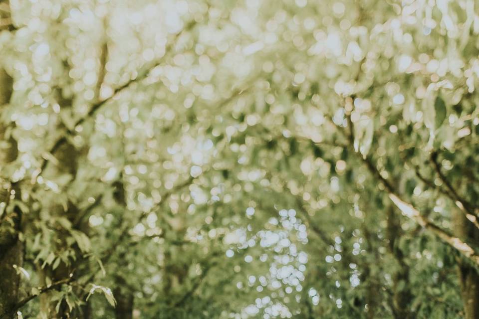 Cool Bride in Gardens