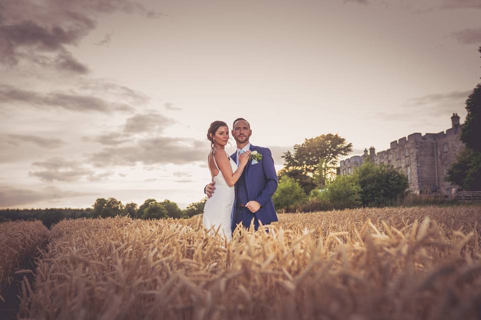 Hazlewood Cornfield