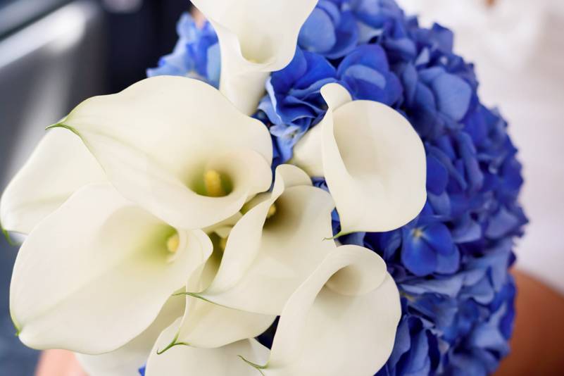 Bouquet