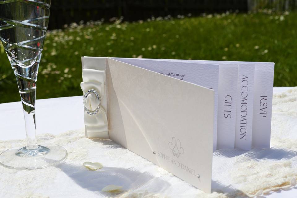Champagne and bows cheque book