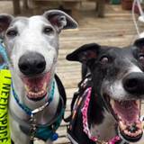 Stanley & Phoebe Fenner