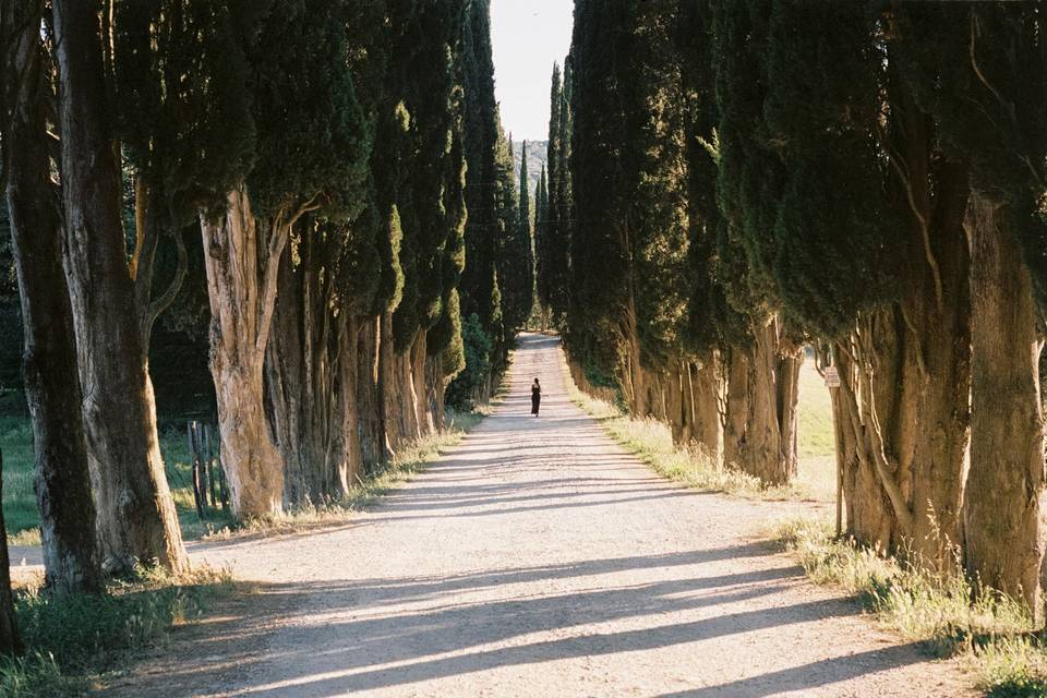 Driveway to the villa