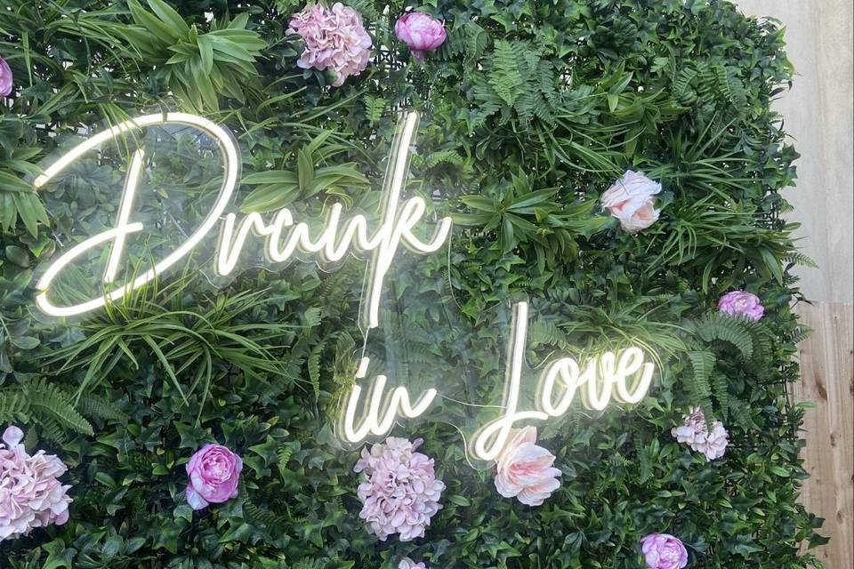Neon & backdrop